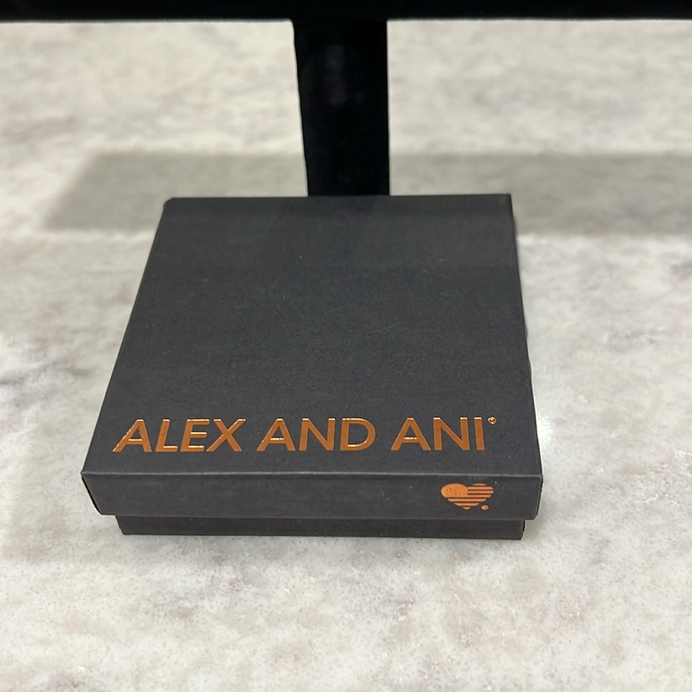 Rose Gold Cheers set from Ale. And Ani - Picture 5 of 5
